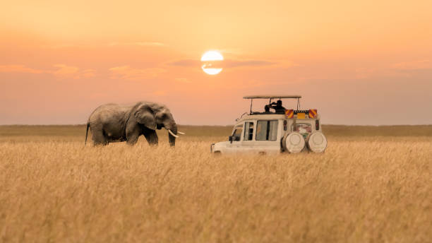 Christmas in Kenya